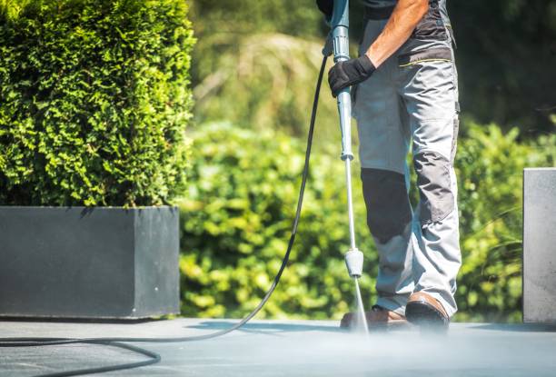 Best Roof Washing  in Wchester, IN