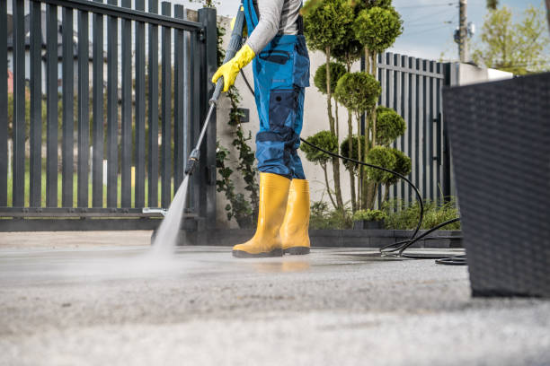Best Solar Panel Cleaning  in Wchester, IN